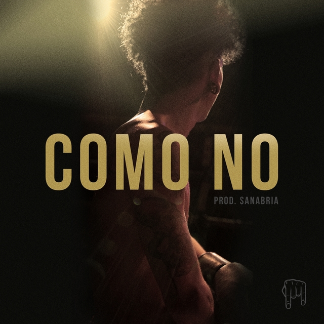 Couverture de Como No