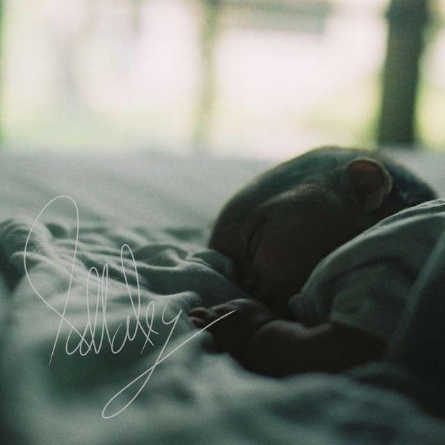 Couverture de Lullaby