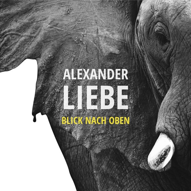 Couverture de Blick nach oben