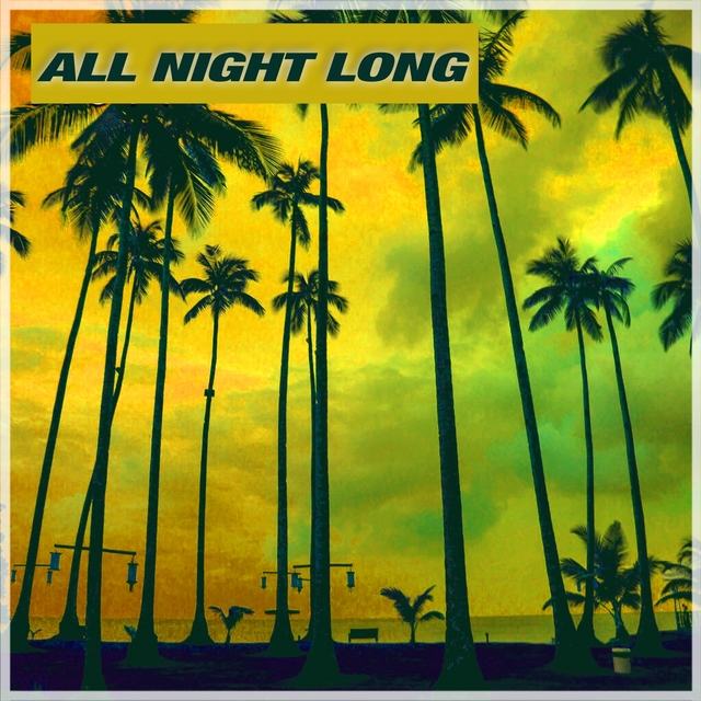 Couverture de All Night Long