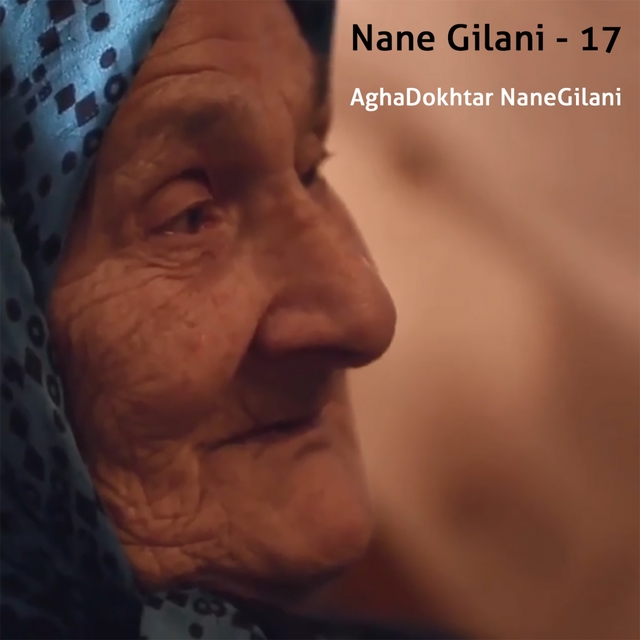 Couverture de Nane Gilani, Vol. 17