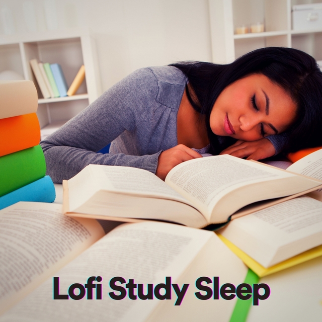 Couverture de Lofi Study Sleep