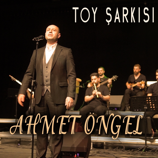 Couverture de Toy Şarkısı