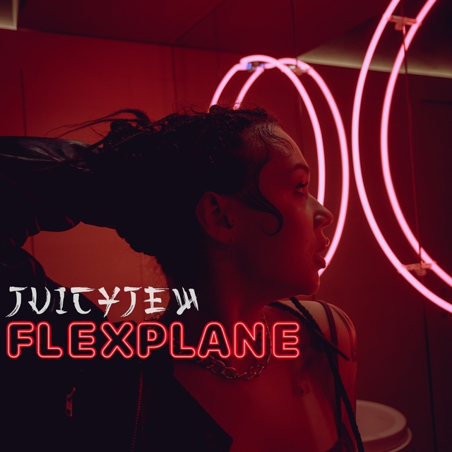 FLEXPLANE