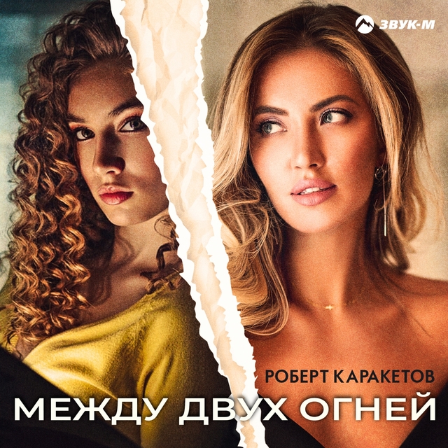 Couverture de Между двух огней