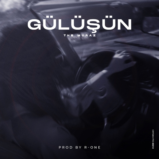 Couverture de Gülüşün