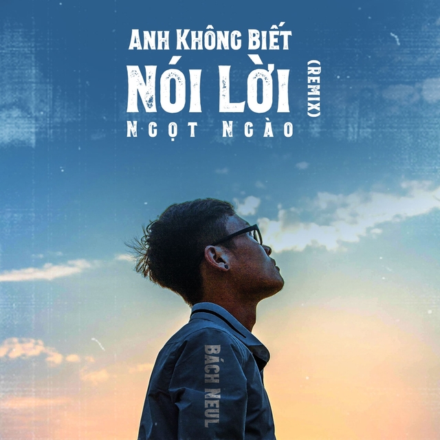 Couverture de Anh Không Biết Nói Lời Ngọt Ngào