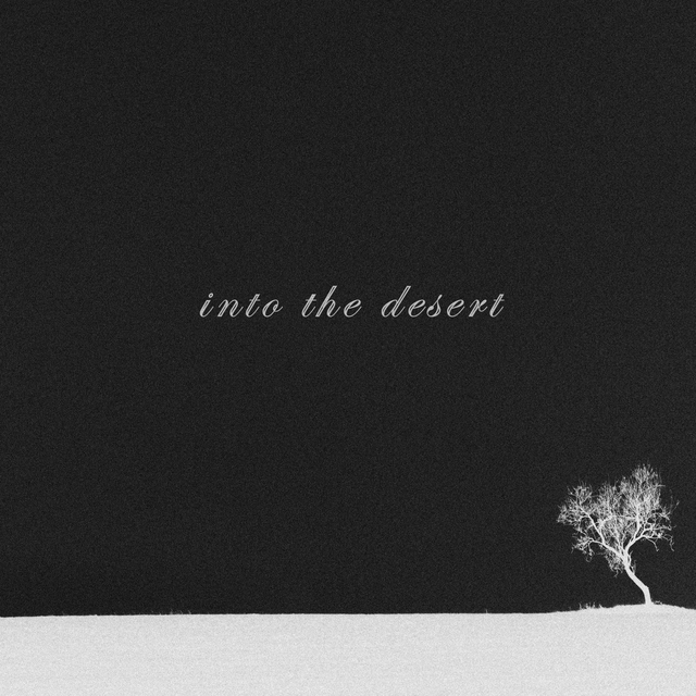 Couverture de Into the Desert