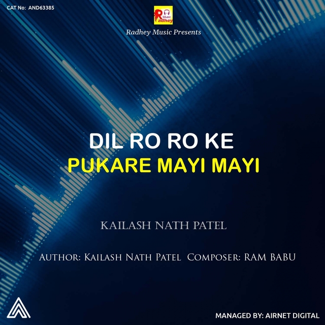 Couverture de Dil Ro Ro Ke Pukare Mayi Mayi