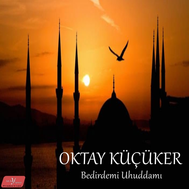 Couverture de Bedirdemi Uhuddamı