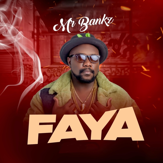 Couverture de Faya