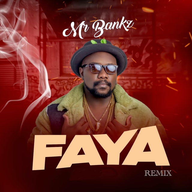 Couverture de Faya