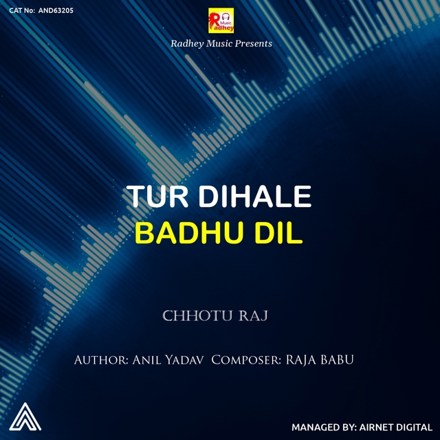 Couverture de Tur Dihale Badhu Dil