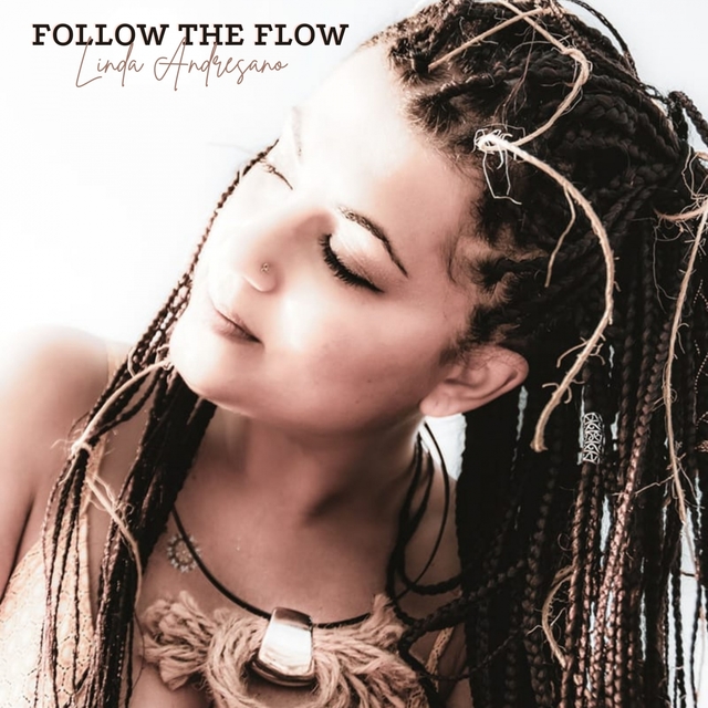 Couverture de Follow the Flow