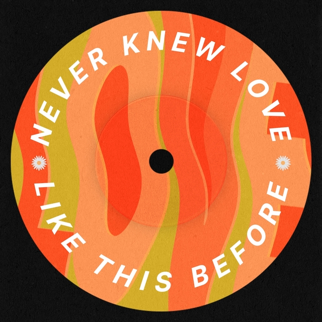 Couverture de Never Knew Love Like This Before