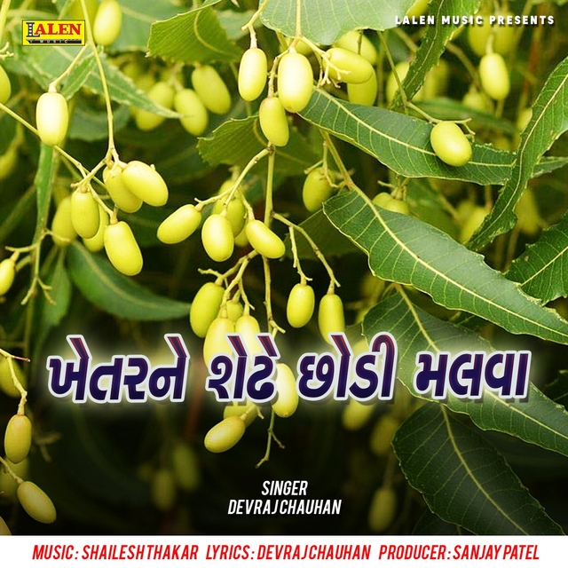 Couverture de Khetar Ne Shedhe Chhodi Malva