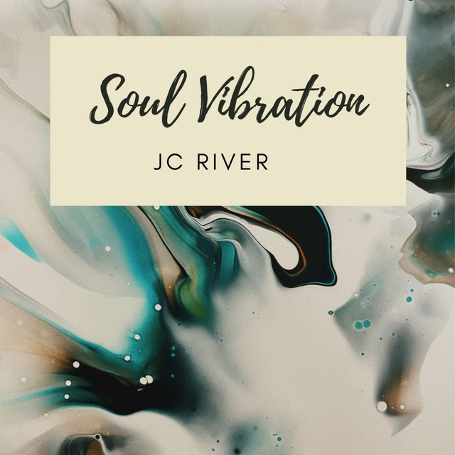 Couverture de Soul Vibration