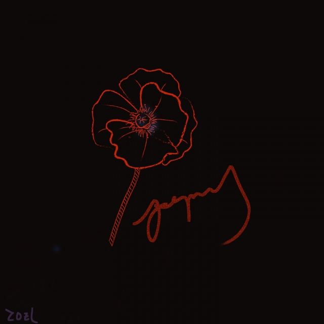 罂粟Poppy