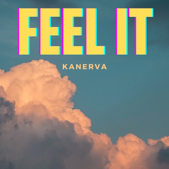 Couverture de Feel It