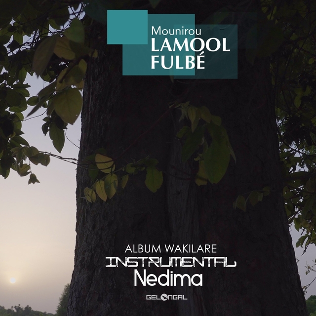 Nedima (Instrumental)