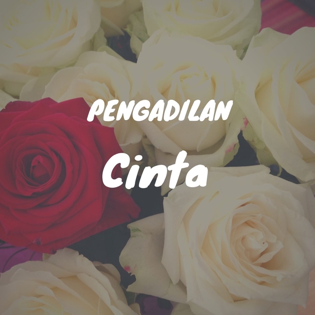 Pengadilan Cinta