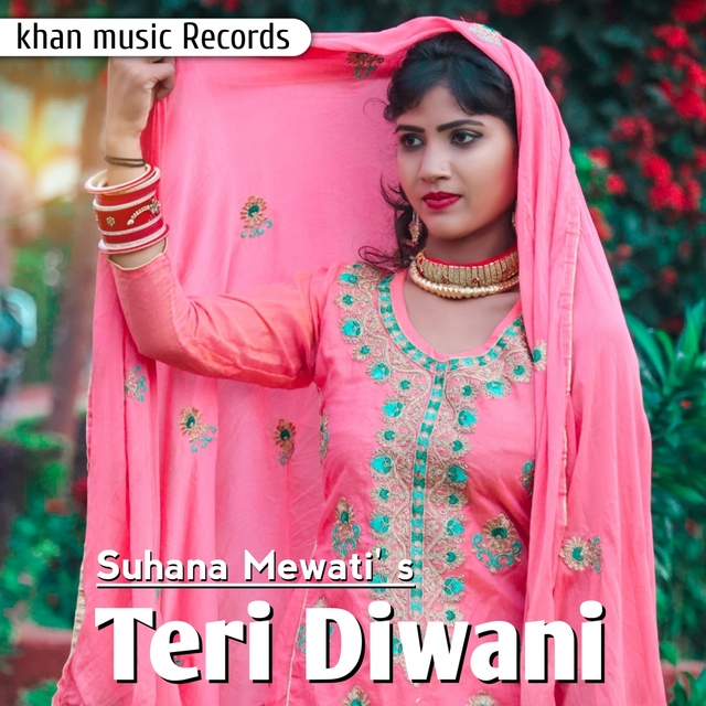 Teri Diwani