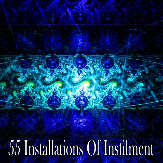 Couverture de 55 Installations of Instilment