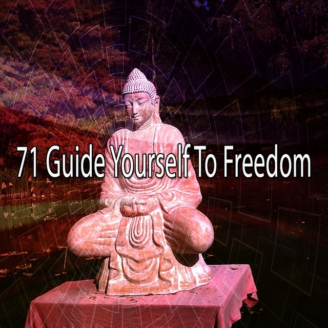 Couverture de 71 Guide Yourself to Freedom