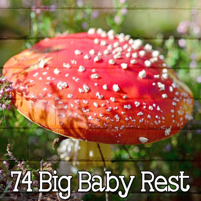 74 Big Baby Rest