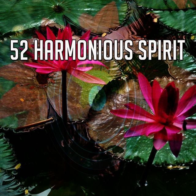 52 Harmonious Spirit