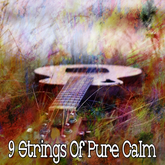 Couverture de 9 Strings of Pure Calm