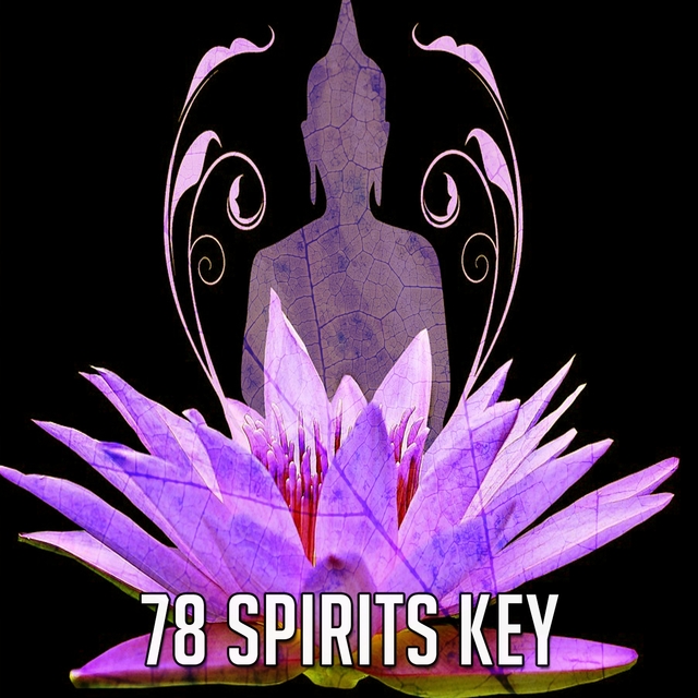 Couverture de 78 Spirits Key