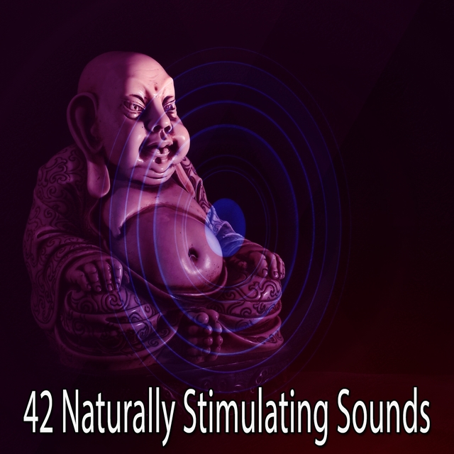 Couverture de 42 Naturally Stimulating Sounds