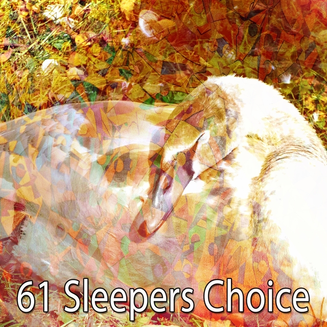 Couverture de 61 Sleepers Choice