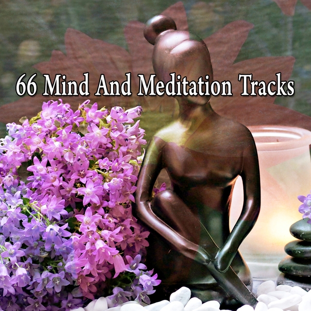 Couverture de 66 Mind and Meditation Tracks