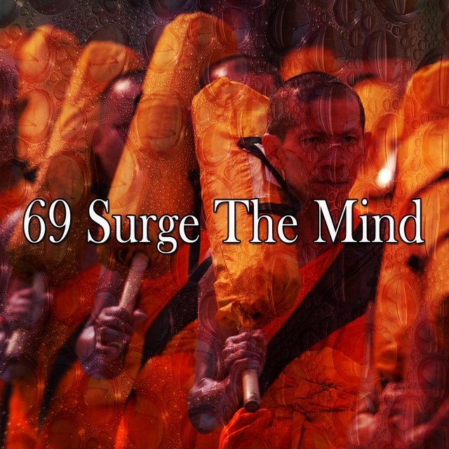 Couverture de 69 Surge the Mind