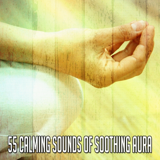 Couverture de 55 Calming Sounds of Soothing Aura