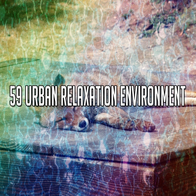 Couverture de 59 Urban Relaxation Environment