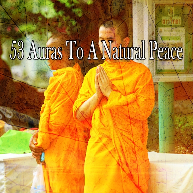 Couverture de 53 Auras to a Natural Peace