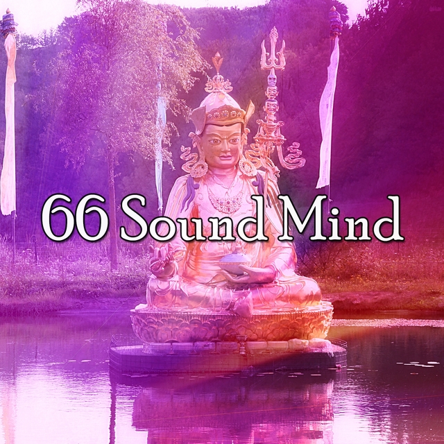 66 Sound Mind