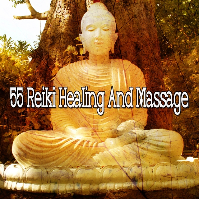 Couverture de 55 Reiki Healing and Massage