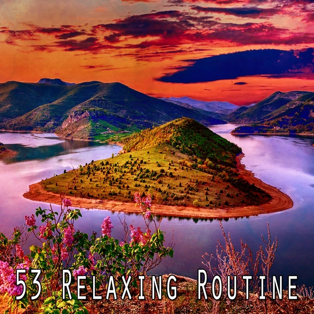 Couverture de 53 Relaxing Routine