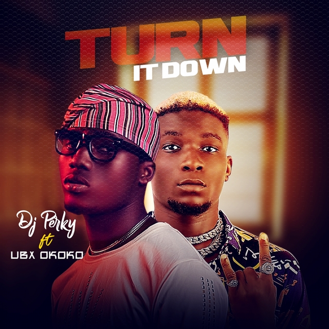 Couverture de Turn It Down