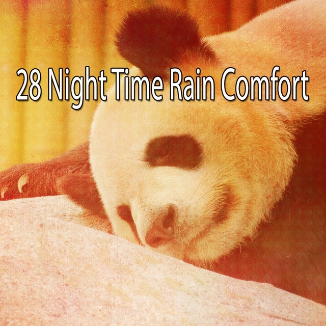 Couverture de 28 Night Time Rain Comfort
