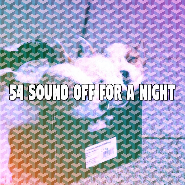 Couverture de 54 Sound Off for a Night
