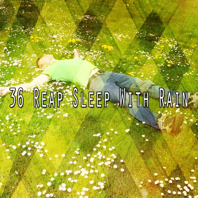 Couverture de 36 Reap Sleep with Rain