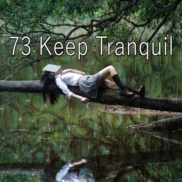 Couverture de 73 Keep Tranquil