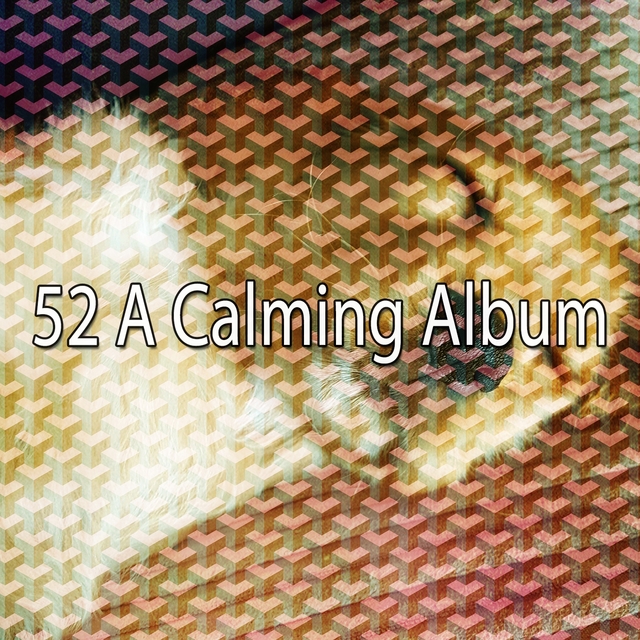 Couverture de 52 A Calming Album