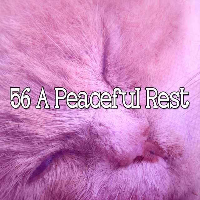 Couverture de 56 A Peaceful Rest