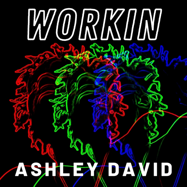 Couverture de Workin